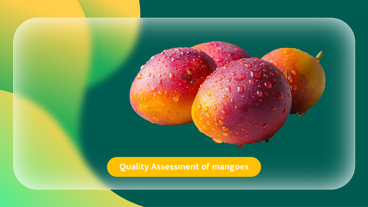 Mango Quality Assessment